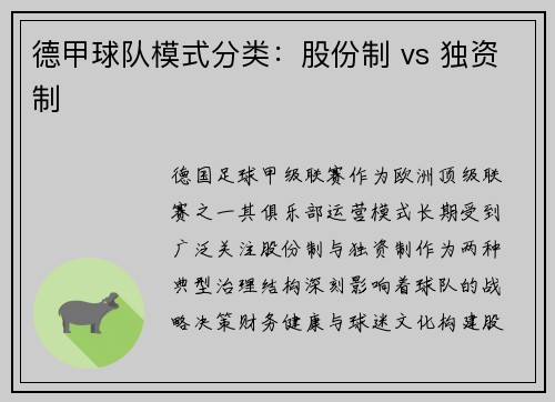 德甲球队模式分类：股份制 vs 独资制